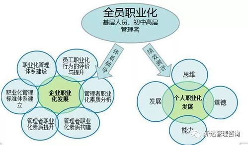 企業管理意識缺失與信息咨詢服務的應對策略